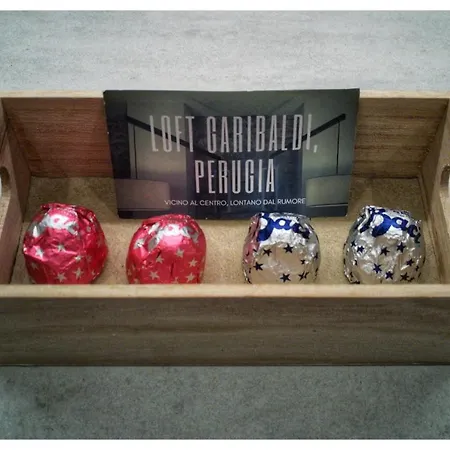 Loft Garibaldi, Garage Privato! *